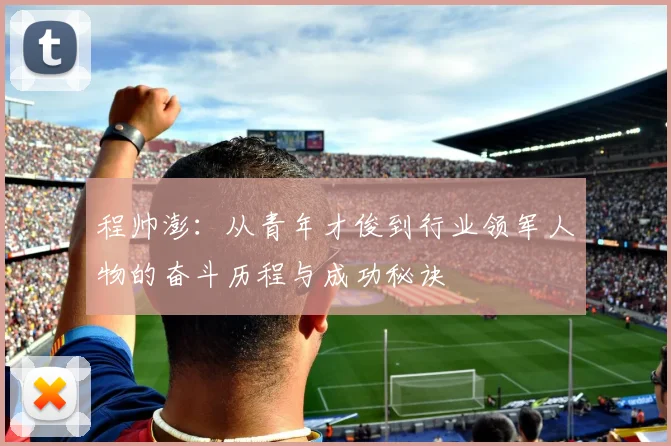 程帅澎：从青年才俊到行业领军人物的奋斗历程与成功秘诀