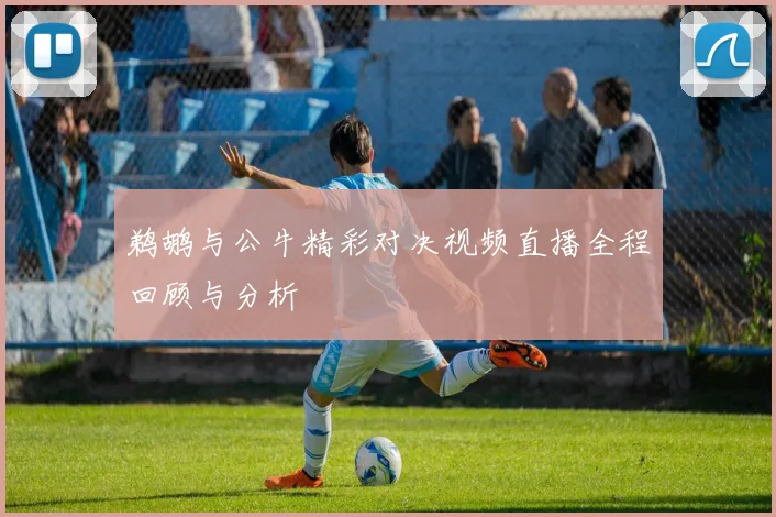 鹈鹕与公牛精彩对决视频直播全程回顾与分析
