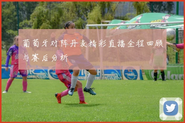 葡萄牙对阵丹麦精彩直播全程回顾与赛后分析