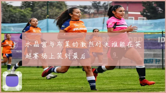 水晶宫与布莱的激烈对决谁能在英超赛场上笑到最后