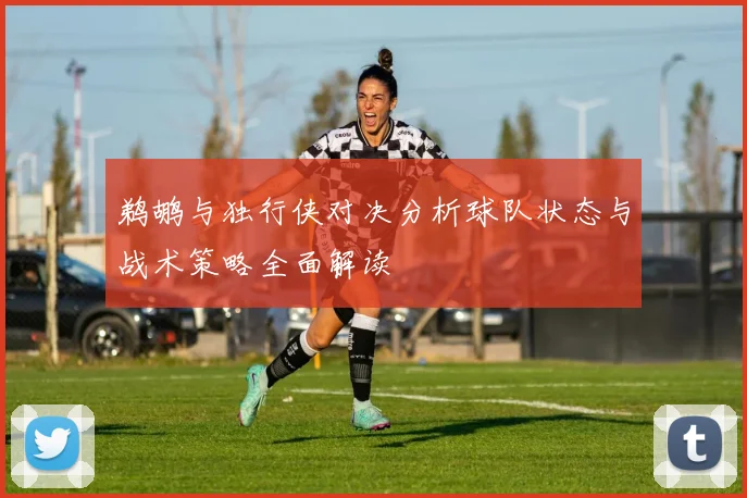 鹈鹕与独行侠对决分析球队状态与战术策略全面解读