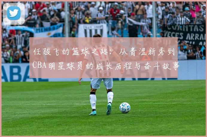 任骏飞的篮球之路：从青涩新秀到CBA明星球员的成长历程与奋斗故事